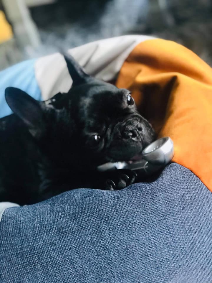 Aaron David tweet media