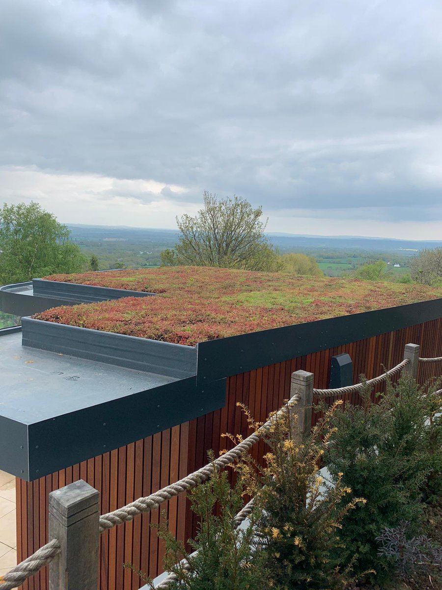 Logic_CP's tweet image. This fantastic poolhouse perfectly blends into it&apos;s surroundings with high end tech and design inspired features. Visit our website thelogicgroup.co.uk to view our full case study of this stunning project.   #construction #poolhouse #greenroof #design #fitout