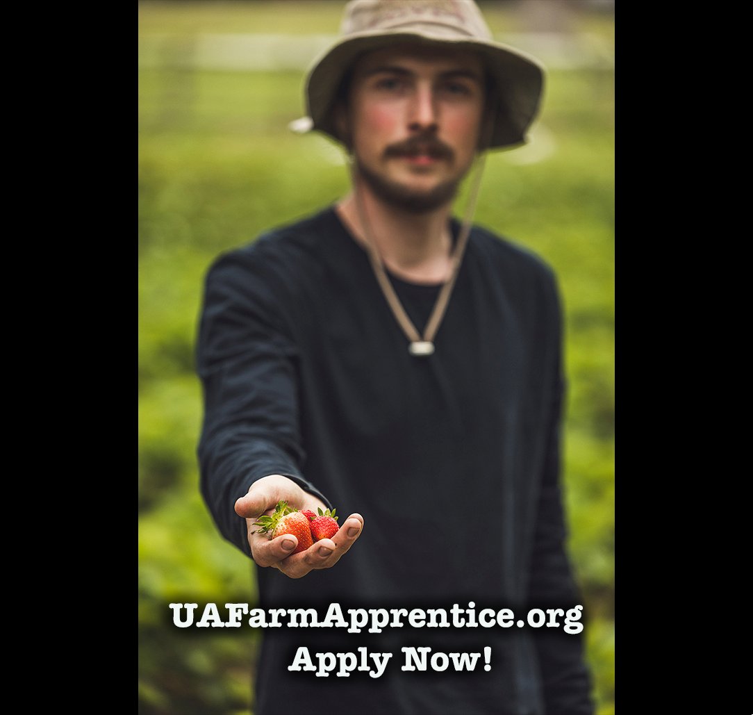 caff_ar's tweet photo. The Center for Arkansas Farms and Food Apprenticeship Program will pair you with a successful Arkansas Farm so you can begin your journey in the food system. 

Apply today!

https://t.co/rIWiSMiB6e

#LearntoFarm #LocalFood #LocalFarm #NWAFarming #LearntoGrow https://t.co/k4BkoWqU1R