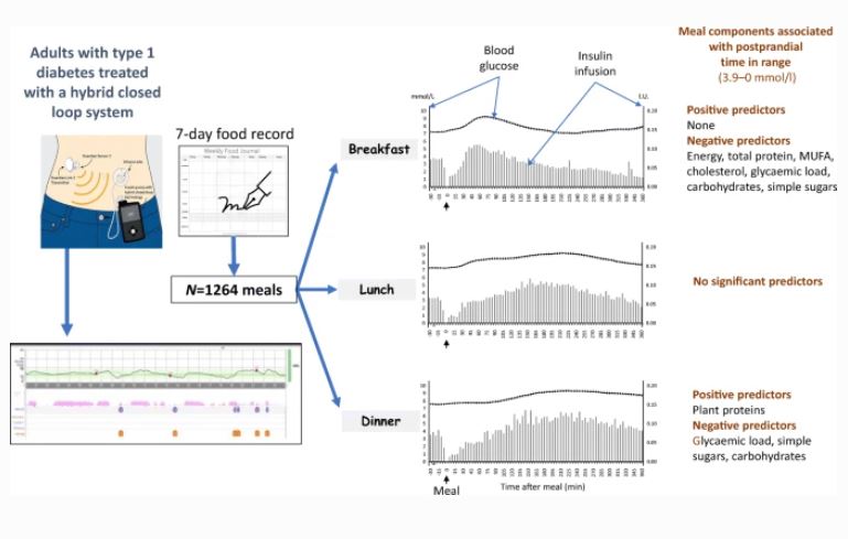 DiabetologiaJnl's tweet image. Nutritional factors other than carbohydrate amount influence postprandial blood glucose profile and insulin requirements, varying between breakfast, lunch and dinner, and remain a challenge to hybrid closed-loop systems #T1D #hybridclosedloop #diet bit.ly/3pRYsM2 🔓