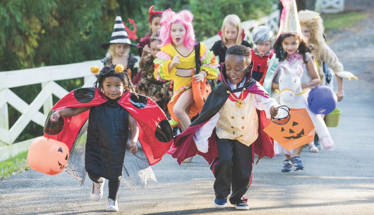 Flamborough Review tweet media