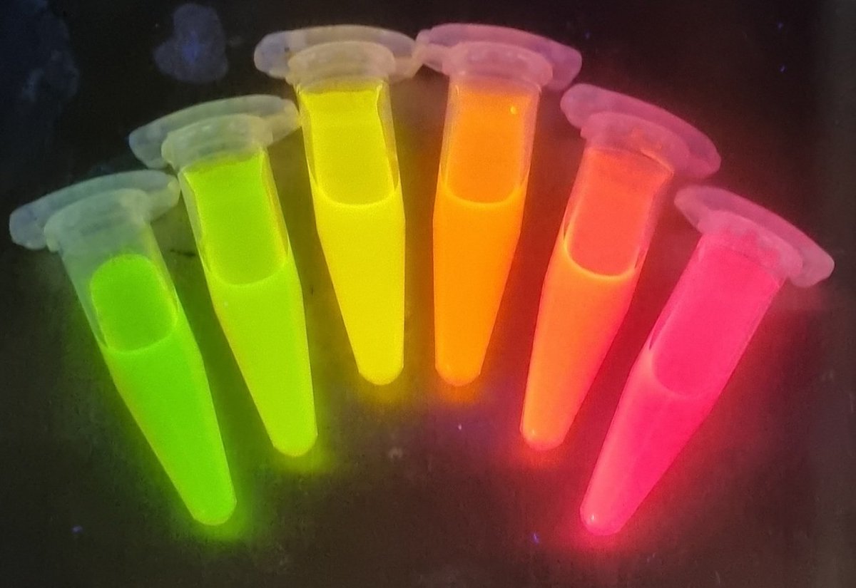 aisling_fleming's tweet photo. Cadmium Telluride Quantum Dots for #FluorescenceFriday 🌈 https://t.co/fZIDSV2oAz