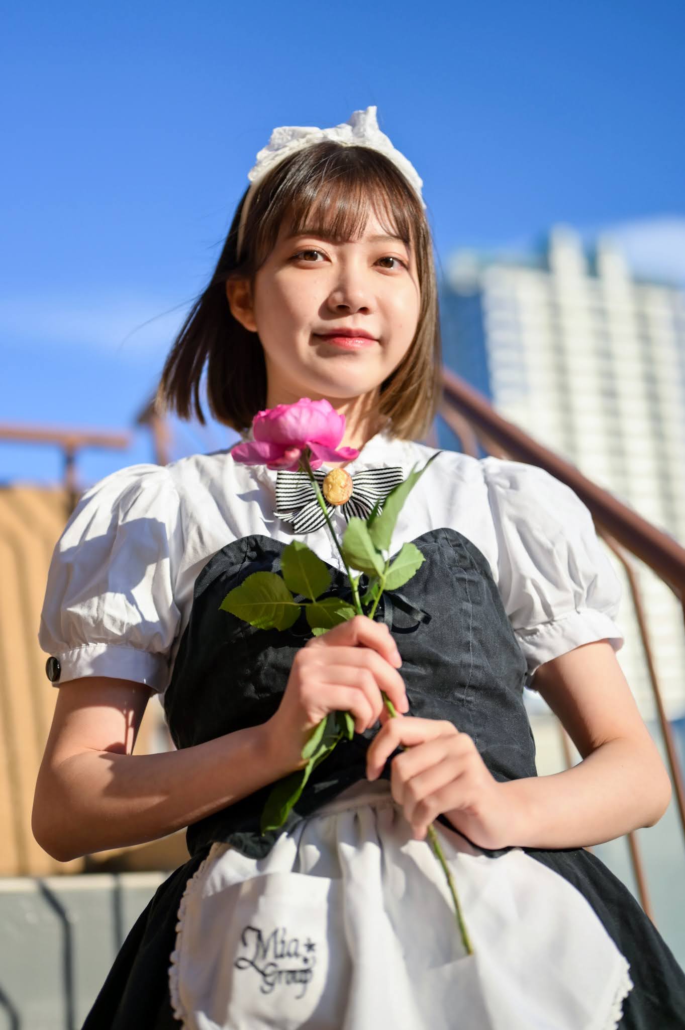 ブルジョア Twitter Search Twitter