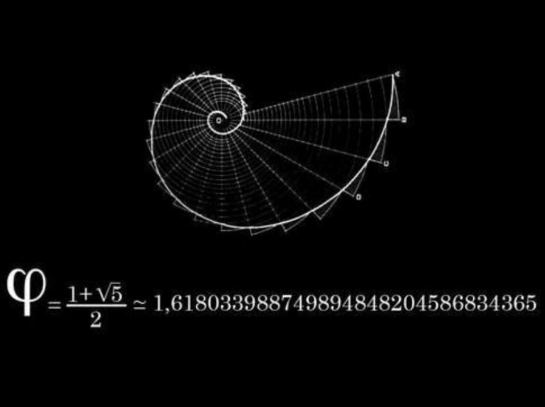 Mara (@mardelcampo_) on Twitter photo 