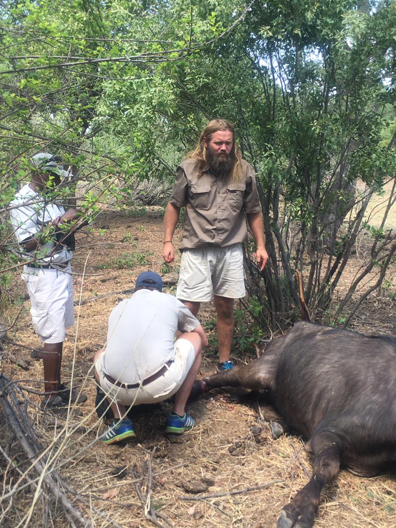 VicFallsWildlifeTrust tweet media