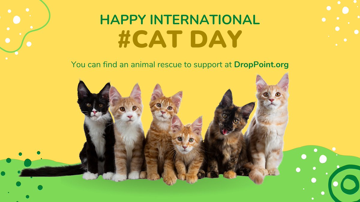 DropPointHQ's tweet image. Happy #InternationalCatDay ! Did you know you can support an animal rescue by donating items? Head to our directory and find a rescue that needs your help.
P.S. If you are a rescue in need of item donations you are welcome to join our network. #cats #donations #charity #rescue