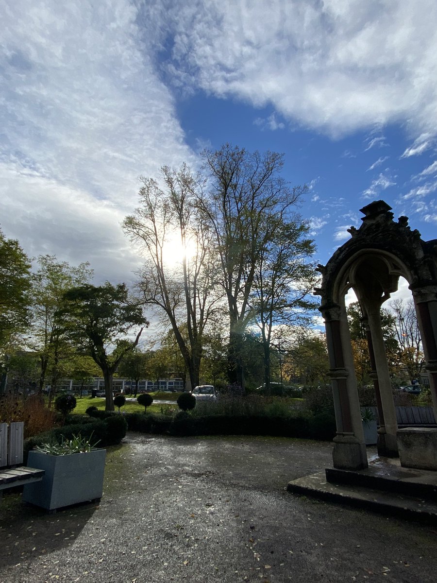 Sunshine in the Sanctuary Garden today ☀️ #cheltenham #sanctuarygarden #charity