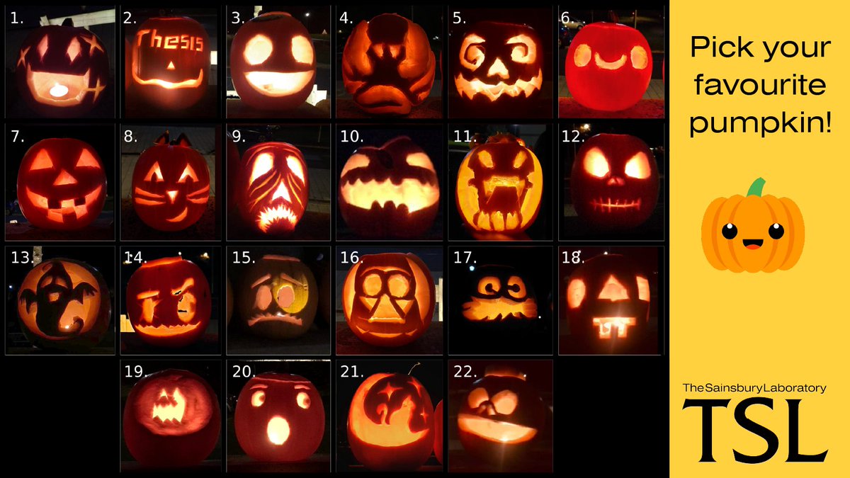 Happy Halloween 🎃 from the students at TSL! Vote for your favourite pumpkin by commenting below. #Halloween #PumpkinCarving