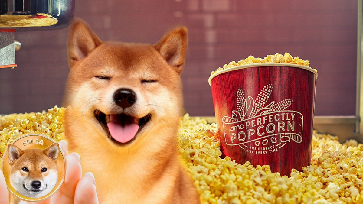 TaraBull's tweet photo. If you know, you know. $AMC meet $Shib 🍿#AMC #SHIB #SHIBARMY https://t.co/eHfvJKkq3B