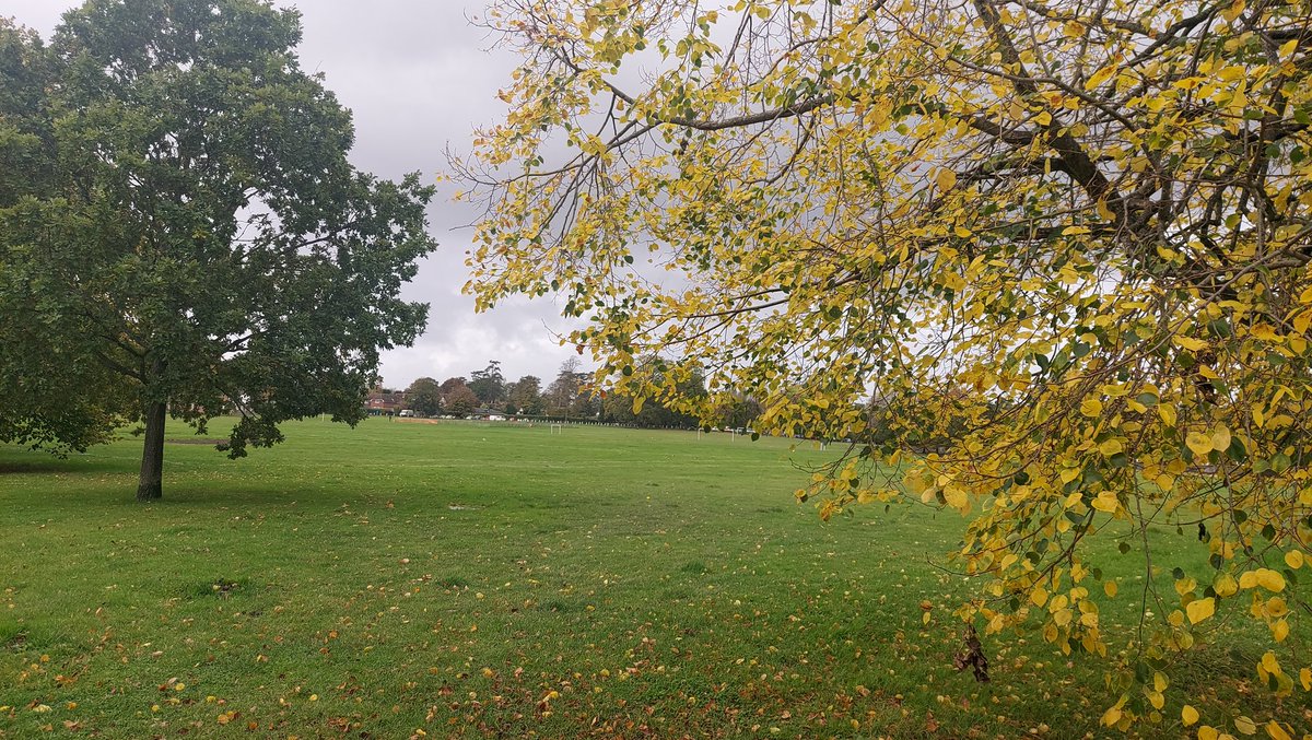 Sussex_Bonfire's tweet photo. The calm before the storm. I'm sure Lindfield common will be a hive of activity and bonfire related fun this time next week compared to the quiet of today. #sussexbonfire #lindfieldbonfire #bonfireisback #lindfieldcommon #bonfire #sussex #midsussex @lindfield_bs https://t.co/3OHP9bZkZv