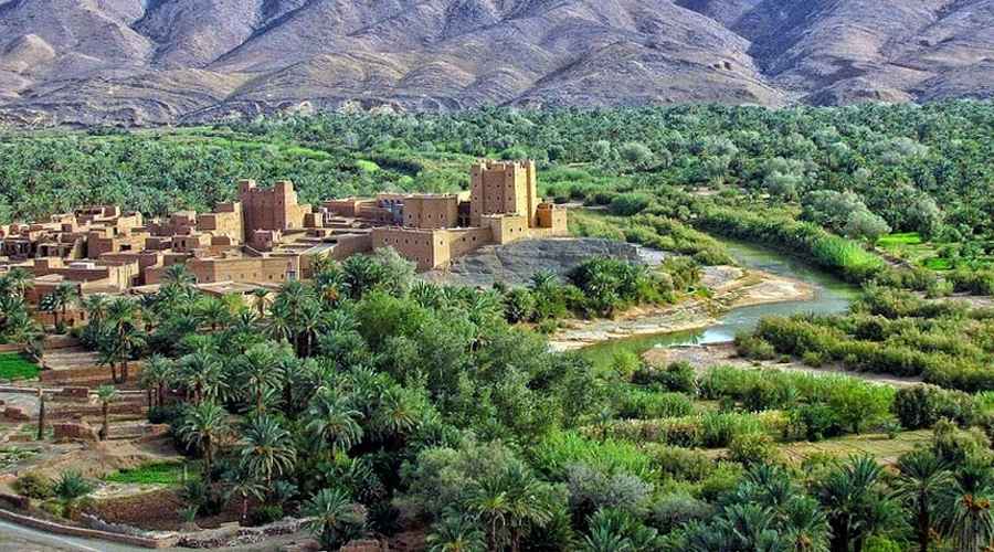 MoroccoInFIN's tweet photo. 🌴 Tiesitkö että maailman suurin #keidas sijaitsee Marokossa?

Keitaat ovat osa Marokon luonnonrikkauksia. Maan eteläosassa sijaitsevalla, pinta-alaltaan 77 000 km2
suuruisella alueella, sijaitsee maailman suurin keidas.

#Marokko #MatkallaMarokkoon  

👉 https://t.co/3Qr4Q4N4e3 https://t.co/JY3Tn5NjoP