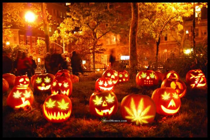 AdaptiveHRM's tweet photo. Are you giving your employees tricks or treats for benefits this season?

Companies that are attracting and retaining great people are working with us &amp; our partners. @zayzoon , @FinFit4life ,@98point6Inc &amp; @slavic401k 

Contact us to learn more!
#cannabisindustry #benefits https://t.co/7mirSUGvRB