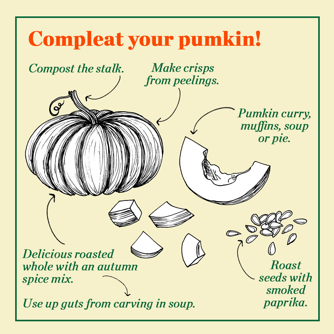 Ellen_Tout's tweet photo. Carving a pumpkin this weekend? Here's my #hallogreen guide to compleating and making the most of all of your delicious pumpkin. We'll be tucking into a yummy pumpkin pie. 😋 #pumpkinrescue https://t.co/iuAV5m2LHM