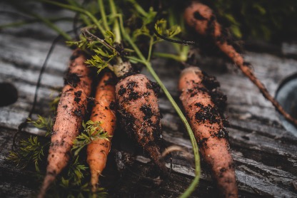MCRFoodBoard's tweet photo. Thank you to everyone who's already filled in our surveys! 

We’re asking everyone in Manchester to tell us what they think about growing their own food. Let us know what's important to you! 

https://t.co/tzKw7jSCZ0

@SowtheCity @parks_great @CrackingFood @UnicornGrocery https://t.co/Ix8s8ReQxb