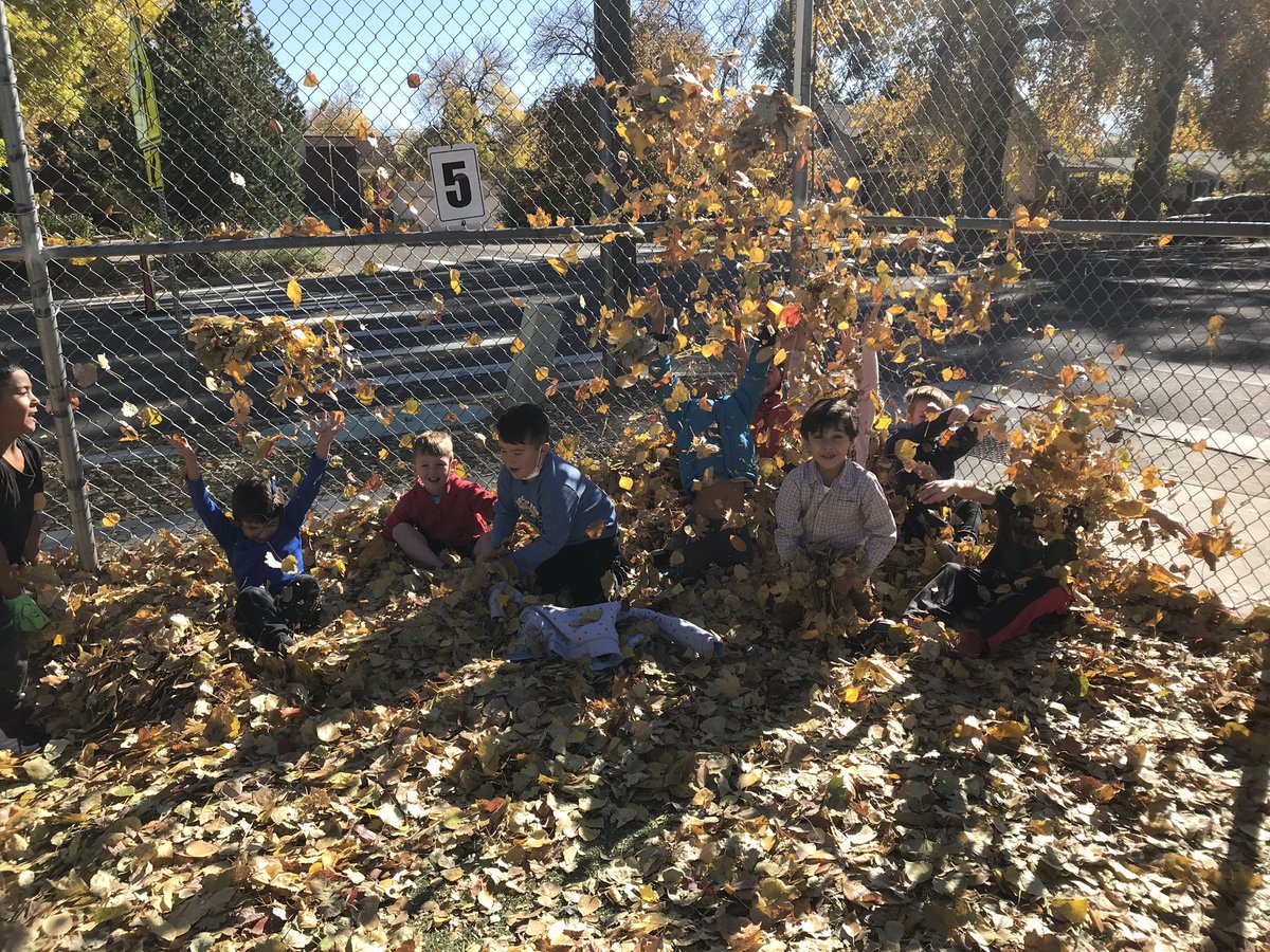 HarrisBilingual's tweet photo. ¡El otoño está aquí! Fall is here!!! https://t.co/ASwL5nJHE5