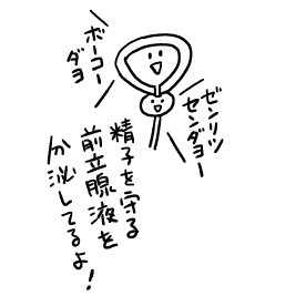 前立腺くん
#アネロス 
何の役割を担っているのか
意外と知られてない彼。
精子を守る前立腺液の分泌、
精子に栄養を与える、
膀胱への精子の逆流を防ぐ、
精液の押し出し等々
お仕事いっぱいなのにだ。 