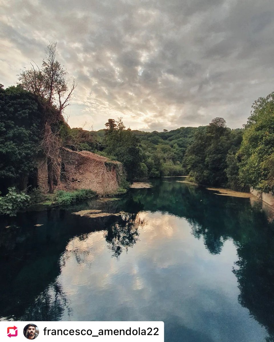 UniperugiaNews's tweet photo. 😍 Buon weekend da #unipg
Una passeggiata rilassante, totalmente immersi nella natura, tra acque cristalline e una folta vegetazione. 
Ecco le Gole del fiume Nera #Terni
📷 Grazie a Francesco Amendola per averci regalato questa meraviglia 👏👏 
#fiumenera #goledelnera #umbria https://t.co/wzgLRHdOIR