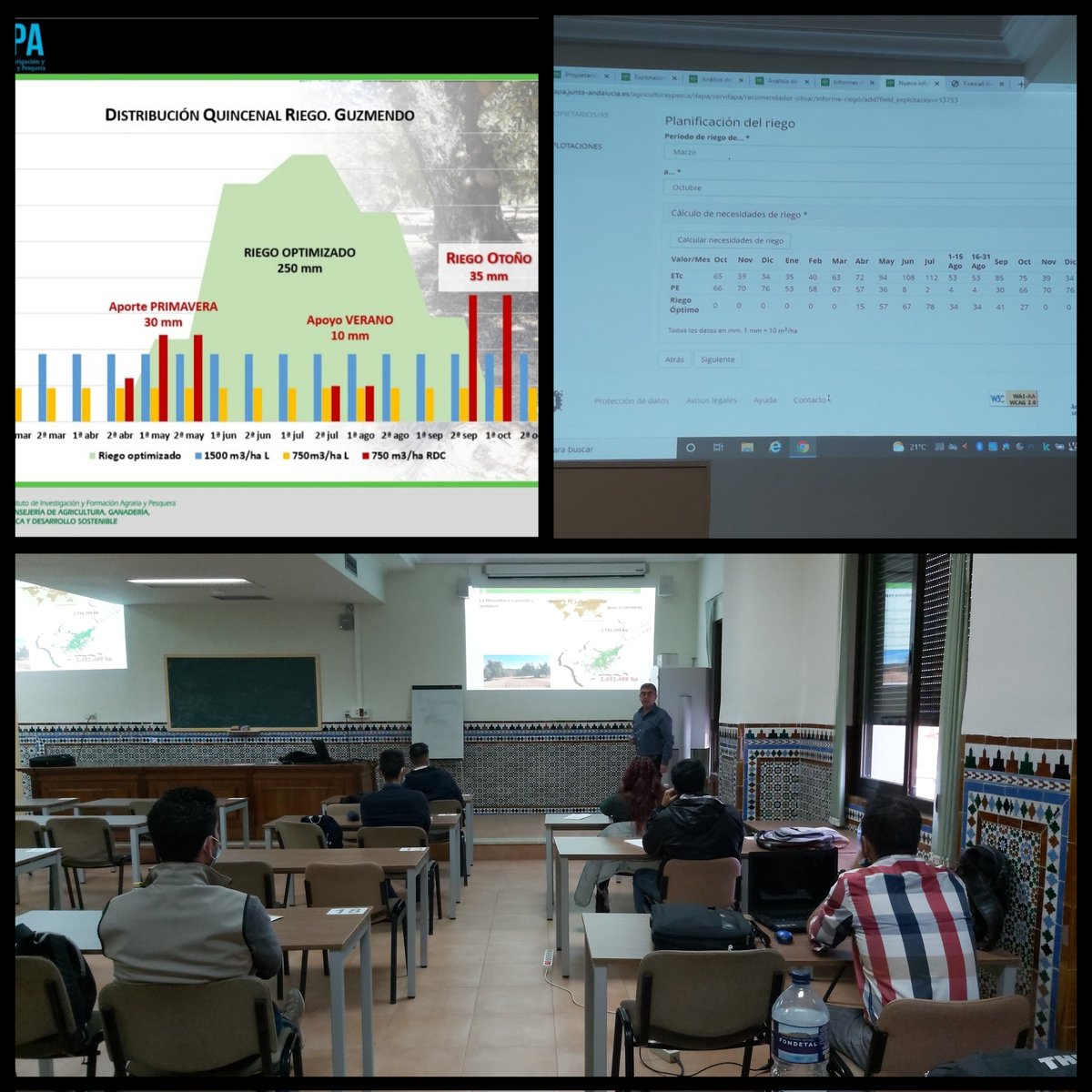 NatividadRuizB's tweet photo. #Programación de #riego en #olivar riego #deficitario y casos prácticos!. No podíamos tener mejor cierre de #CSER que con los compañeros de olivar @JavierjHidalgoM @Ana90441588 y Victorino Vega. @riegosostenible @IfapaJunta @AgriculturAnd https://t.co/fuJRzA5Rda