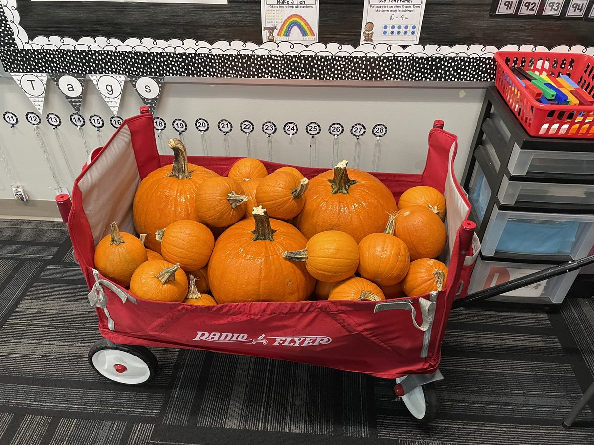Mrs_Courlas's tweet photo. Don’t fight the after Trick or Treat crazy, embrace it! Ready for Pumpkin Math and Science today! #TeamTussing #PLSDproud #fabulousinfirst https://t.co/mDjL634GwQ