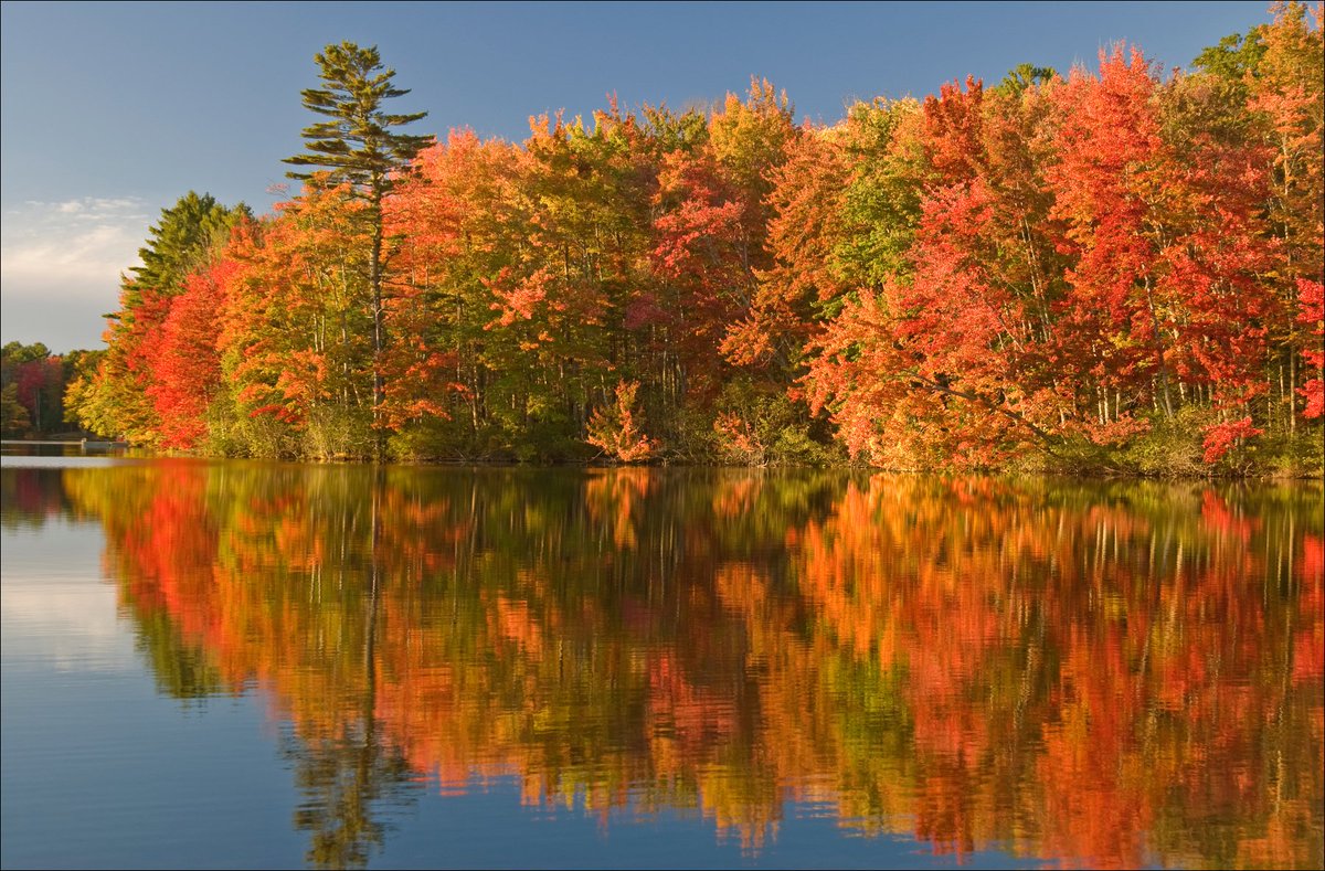 theDSGal's tweet photo. One of my favorite seasons!! ๐๐๐
#Fall #Autumn #fallcolors #leafpeeping #lovethefall #fallfoliage #lakeliving #lakelife #home #Lisashomesweethome #smile #bekind #beagoodneighbor #LisaAnnadmin #LisaAnnvirtualassistant #jewelryaddict #jewelrylover #Iselljewelry #LisaAnndJewelry https://t.co/1edWy318LD