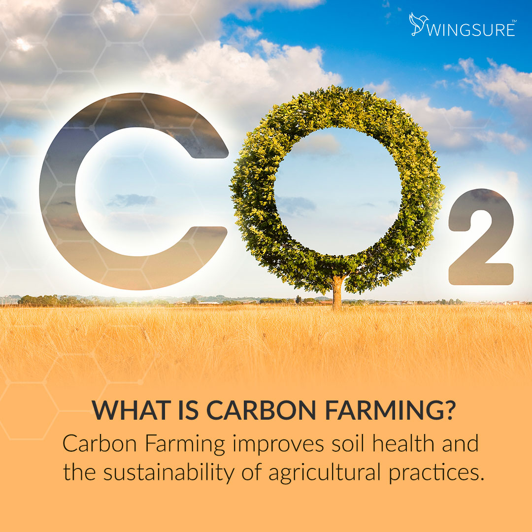 wingsure's tweet photo. Carbon Farming practices like reducing tillage, planting cover crops and using organic matter amendments can make the farmland more productive and also combat climate change. 

#CarbonFarming #ClimateChange #Wingsure https://t.co/EjEBau861e