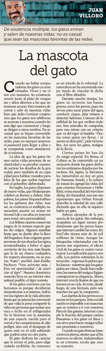 jrisco's tweet photo. Sobre el amor a los gatos y las instrucciones para terminar siendo mascotas.

👌🏼

[@JuanVilloro56 en @Reforma] https://t.co/Ccp6kxd3qo