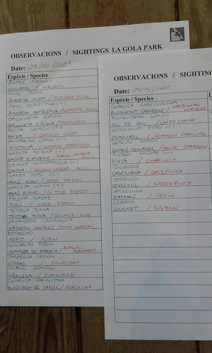 Aves vistas hoy en la Gola ;)