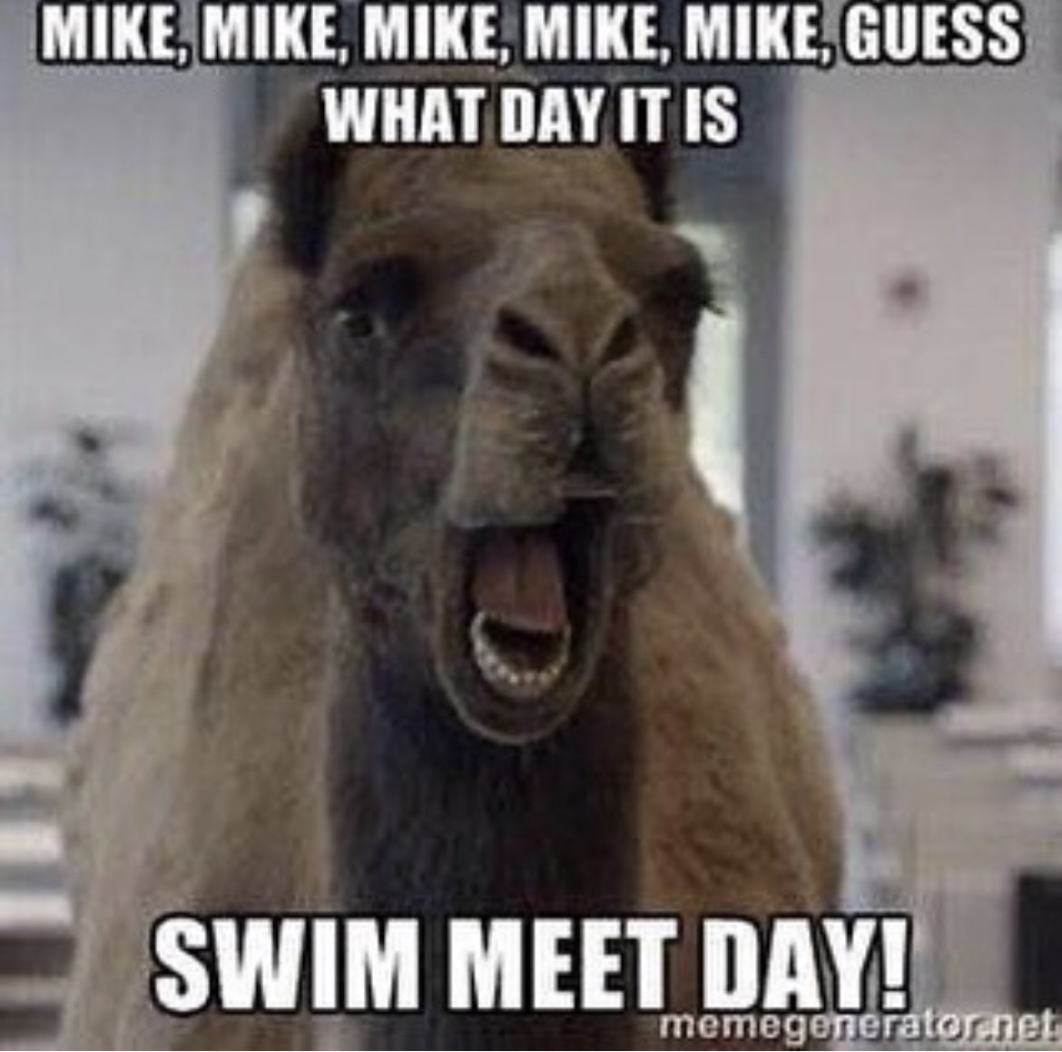EPHSswimming's tweet photo. Swim for a Cause tonight!! https://t.co/HsPA8TOZmZ
