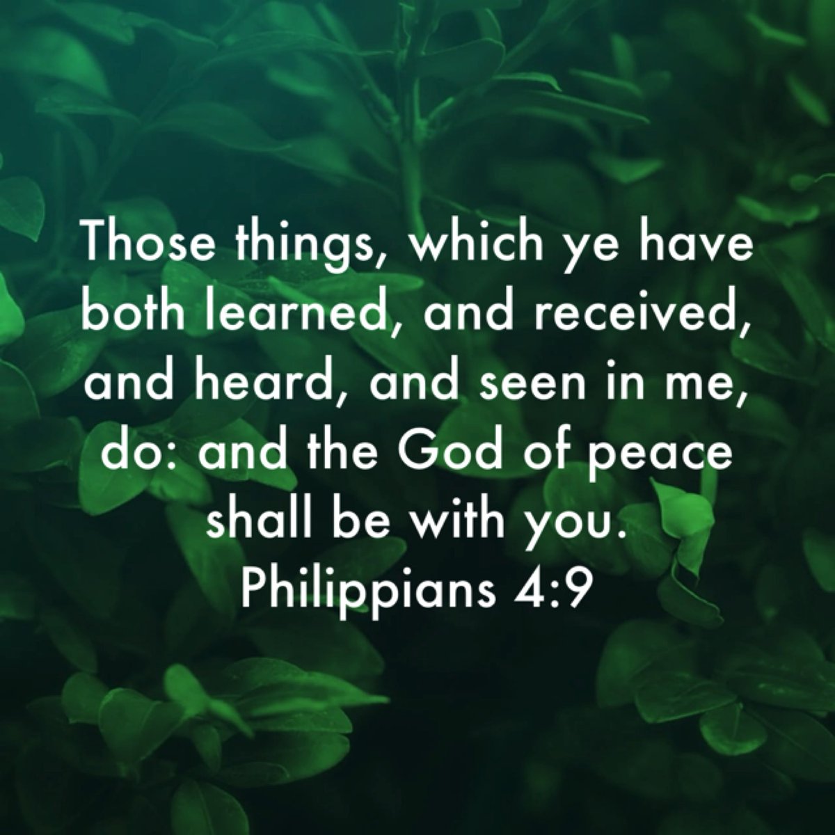 mcveighbaptist's tweet photo. https://t.co/RRsPPLgDbT