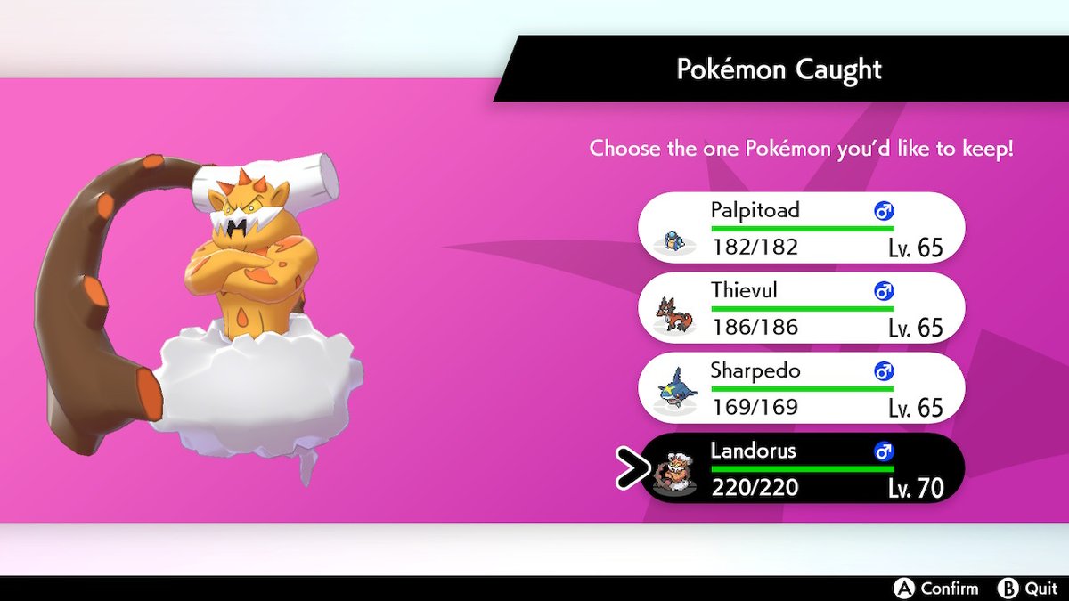 GamingMattza's tweet photo. It's been a great day today! #Pokemon #Shiny #PokemonSwordShield #NintendoSwitch https://t.co/32gLCmCjxW