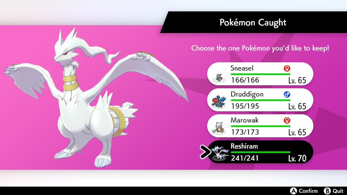 GamingMattza's tweet photo. It's been a great day today! #Pokemon #Shiny #PokemonSwordShield #NintendoSwitch https://t.co/32gLCmCjxW