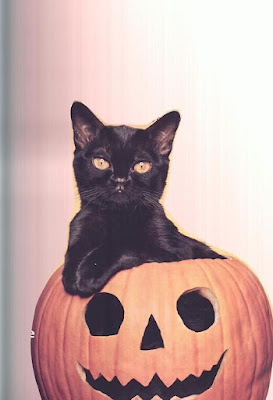 HorribleSanity's tweet photo. Weekend Link Dump: Penny dreadfuls, haunted hotel rooms, Viking werewolves, offended undertakers, hero cats, Shakespeare in Calcutta &amp; more!

https://t.co/Q6jIeB2THs https://t.co/BoJ9aoLwnN