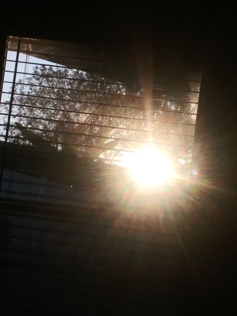 AlienLyte's tweet image. Alien life is light. Rainbow ancient invisible light made visible all of life is immersed in right now. How we are capturing alien images. Humans have been programmed only materialism it's destroying you. It is time stronger connection internal magnetism please support