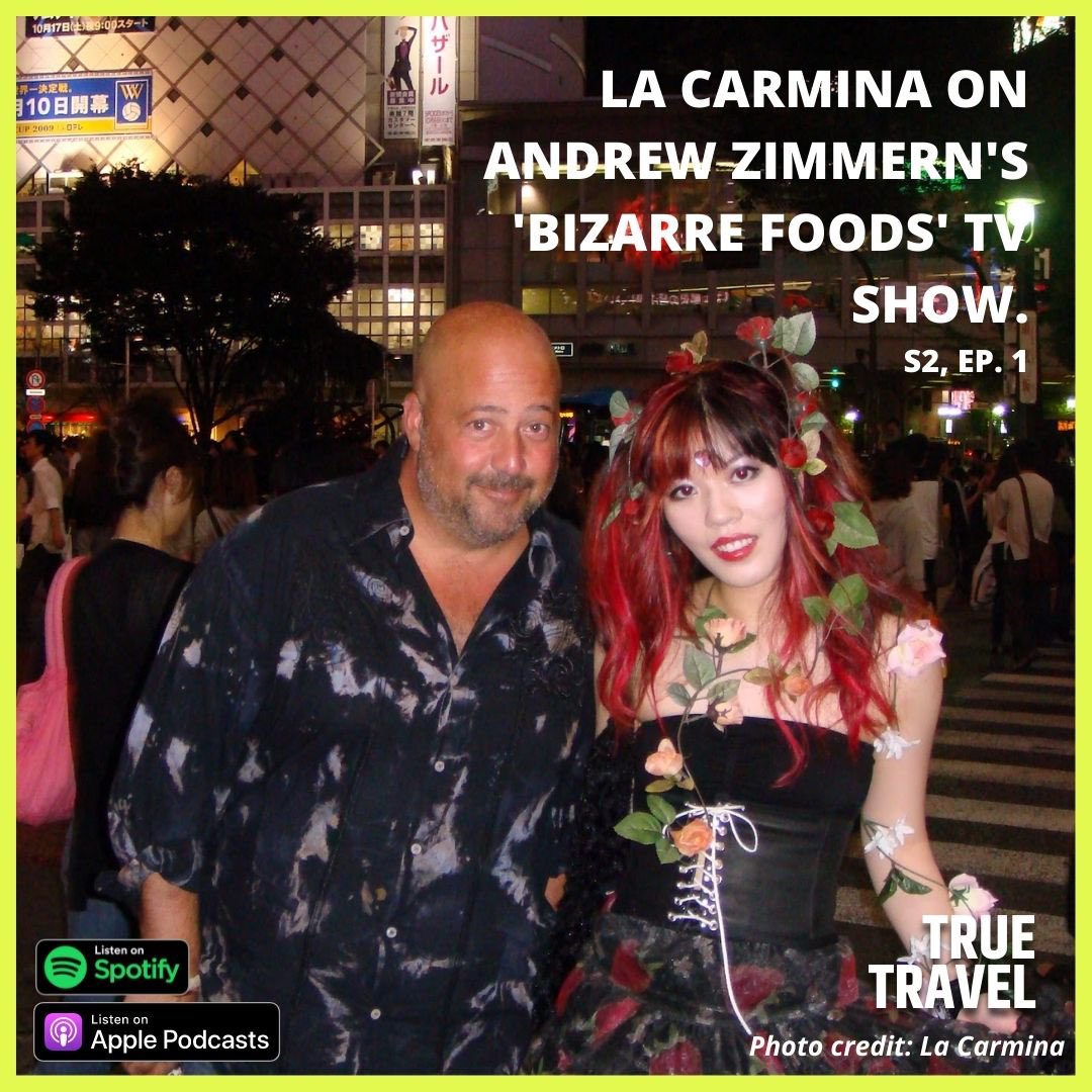 La Carmina 😈 Goth travel, style, subcultures blog (@LaCarmina)  X