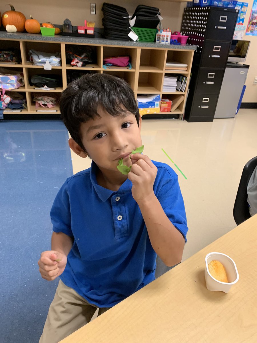 Kim Mattis tweet media