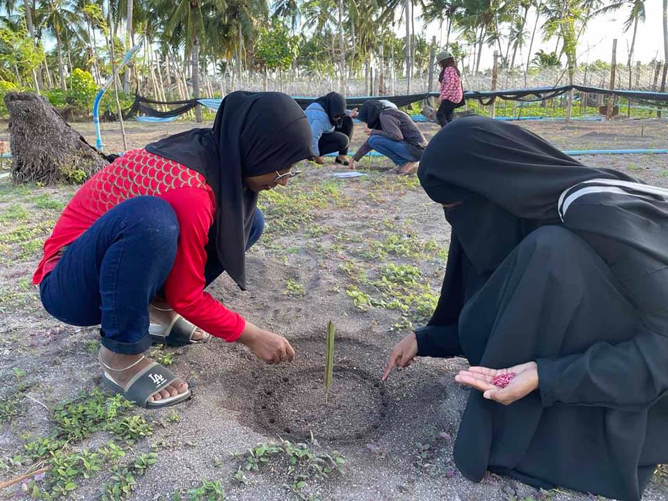 FestMnu's tweet photo. BSc students on the exposure trip to Thoddoo helped in planting water melon as part of community engagement activities. https://t.co/5eBV73bRHv