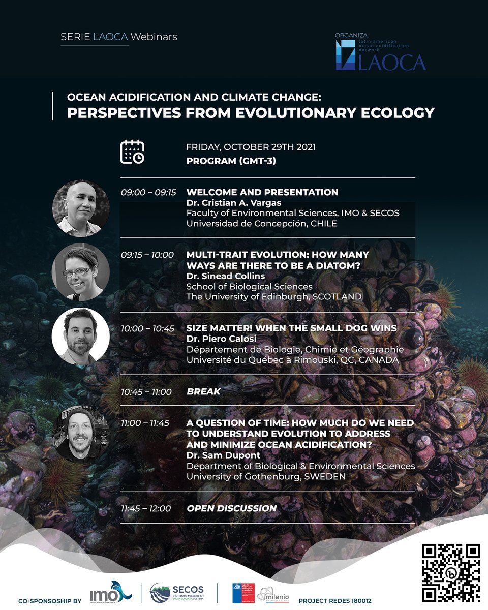 MilenioSecos's tweet photo. ¡Ya estamos en vivo! 📣 En el webinar #LAOCA, @imochile y #SECOS de hoy, estaremos con Sinead Collins, de @EdinburghUni; Piero Calosi, de @UQAR y Sam Dupont, de @goteborgsuni.
Únete a la conversación en 👉https://t.co/VWYO5Z1Htj https://t.co/MTdeO62JP4