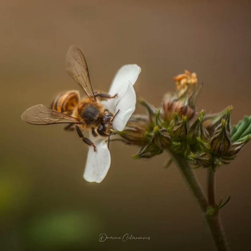 La sencillez que hace la diferencia