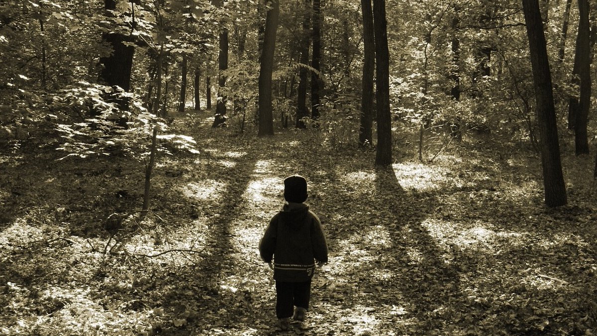 Rojo Consultancy tweet media