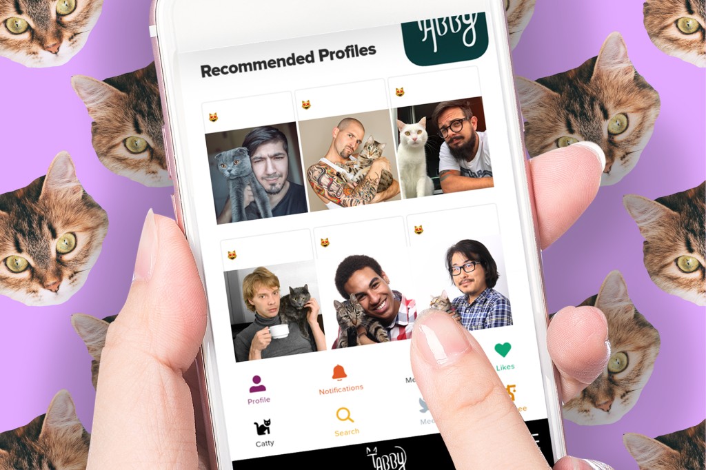 Happy National Cat Day: There's a new dating app for 'cat-forward lifestyles' trib.al/PbGBzBu