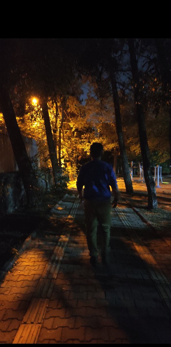 En fazla geceleri kırılır şairler
Çünkü bir başınadır artık ay
Dedem tası yitmiş derdi dünyanın
Hâlâ avuç avuç şu içmem ondan
Islak bir doğu sabahı gibi kelimelerim
Öyle hazırlıksız öyle şaşkın
Öyle özensiz sigaram
Kaktüslerde kurudu zaten
Kaktüsler! 
benim zavallı çiçeklerim...