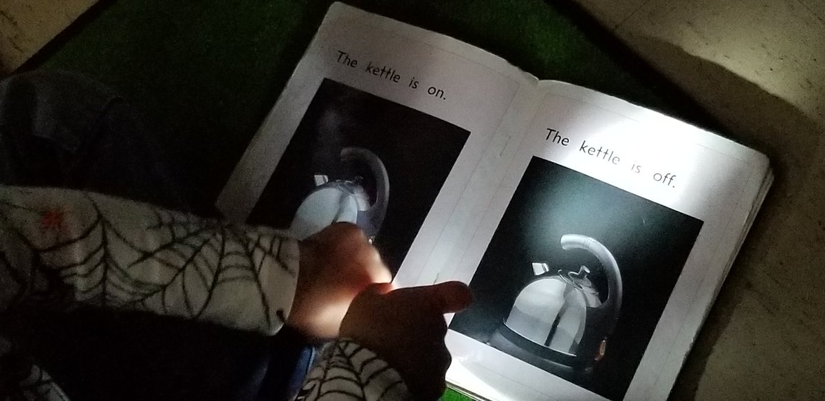 Sharon_readUP's tweet photo. This Flashlight Friday... P/1 Ss @DowdingVal are building their sight word vocabulary as they LOOK for AND light up THE "snap" words in their books. We CAN read  A word in a "snap"! @HumberPark  @HrceLiteracy @HRCE_NS https://t.co/faKWNZ3Bo6