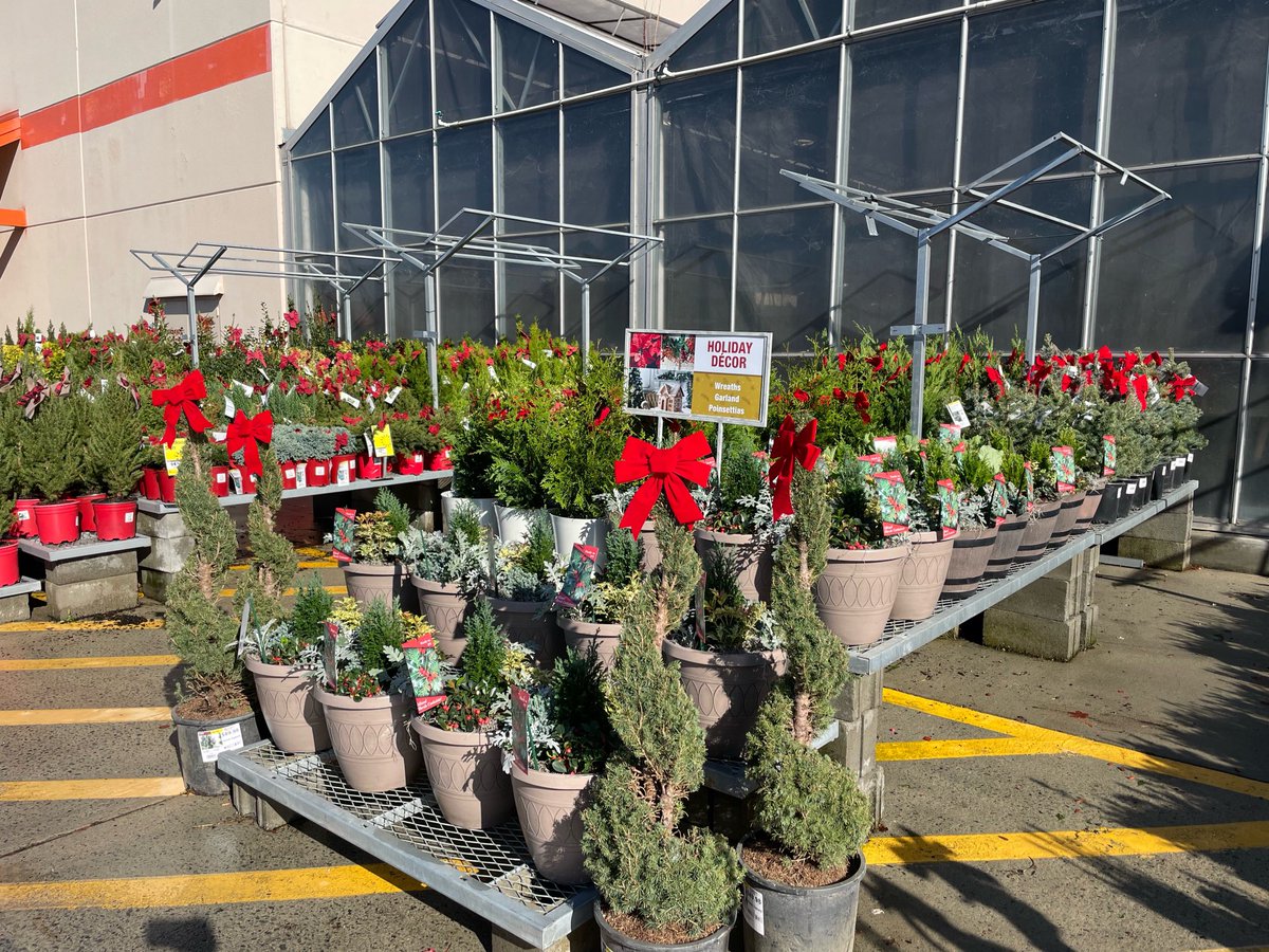 Lorrie Gallimore tweet media