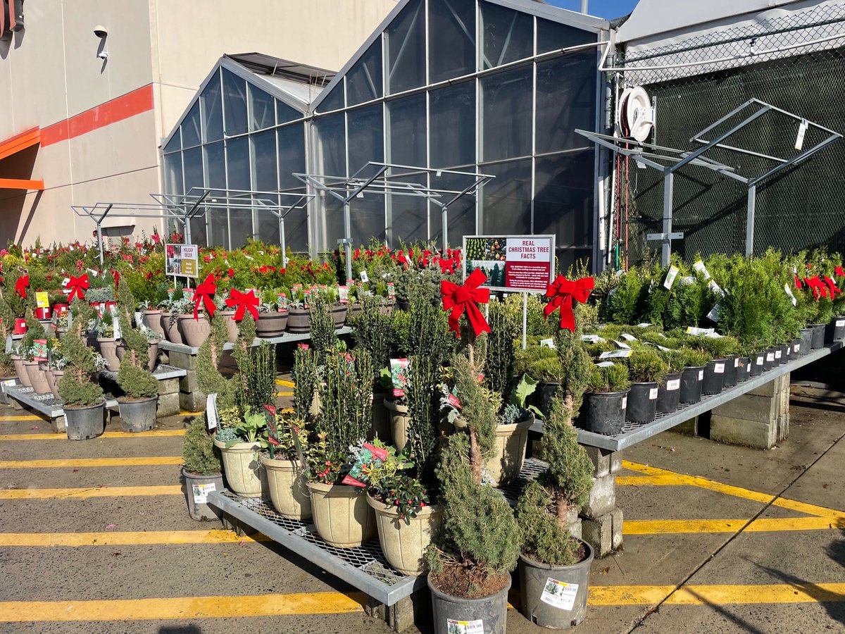 Lorrie Gallimore tweet media