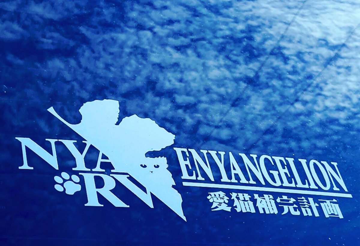 53_myonkichi's tweet photo. 友人が撮ってくれた車のリアガラスのステッカーがエモい。 https://t.co/AWaHqthXKX