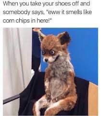 CryptCreate's tweet image. I promise that this is relevant to this upcoming episode