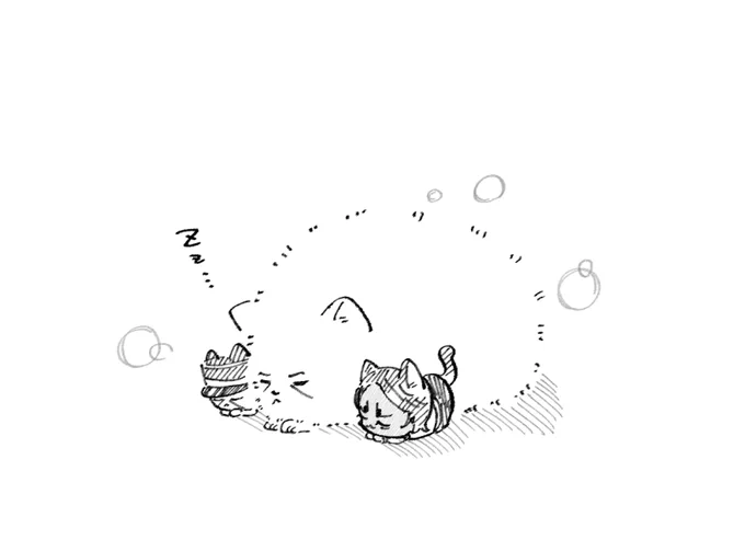 @haruko_bump よしよし!!イマジナリーおひる🐱ちゃんかわいい!!かわいい!、!ポメ島ならイマジナリー🐱ちゃんたちと仲良く日向ぼっこしてましたよ!!、!! 