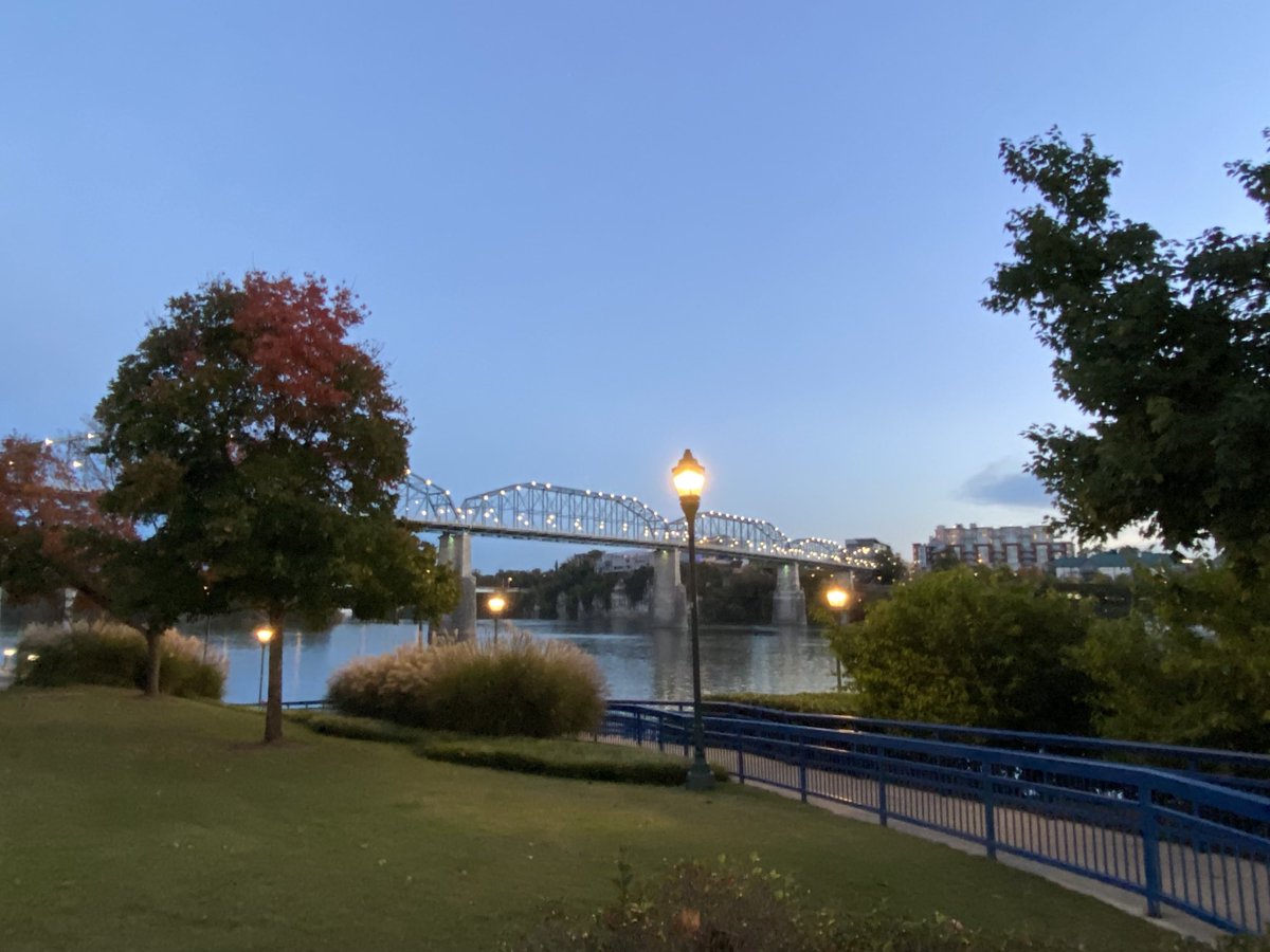 Todd Haller tweet media