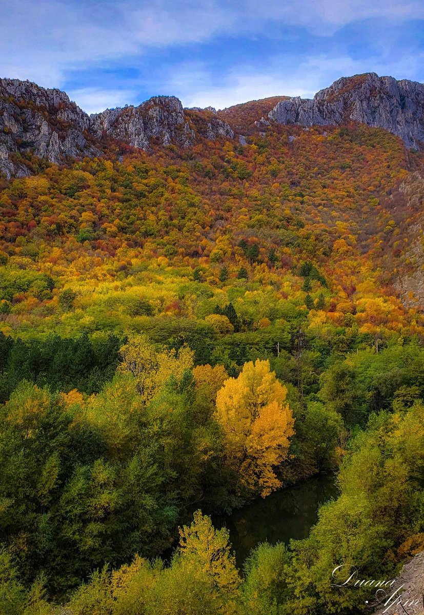 IvanGaidarov's tweet photo. #Autumn has arrived in the picturesque #Iskar gorge, #Stara_Planina mountain 🍁🍂

#Bulgaria 🇧🇬

📷Diana Mladenova https://t.co/VbLZlhSZyI