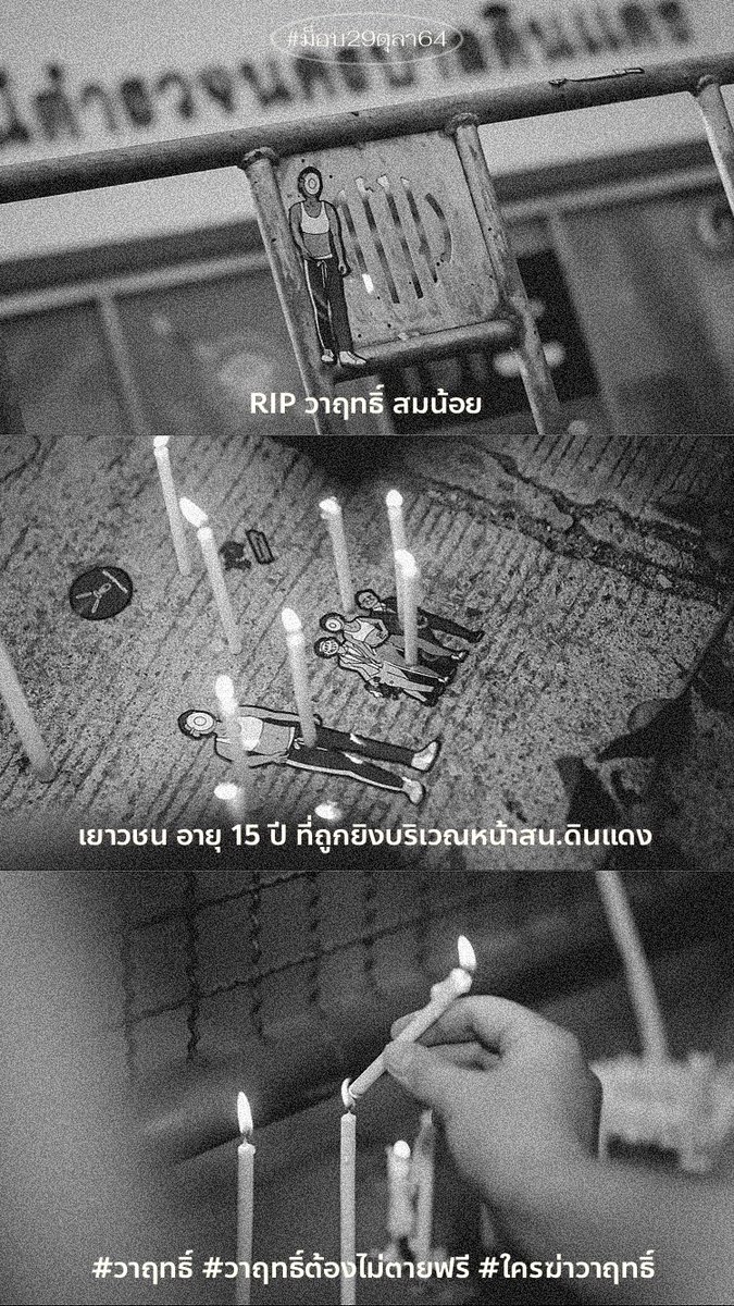 ⋆ ℳ tweet media